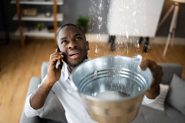 Best Water damage restoration near me  in Lake Clarke Shores, FL