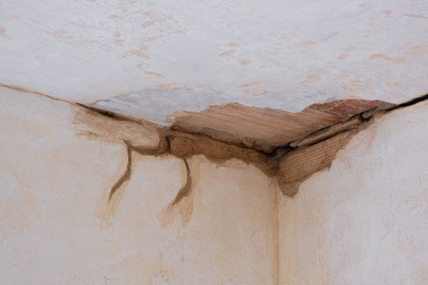 Best Residential water damage restoration  in Lake Clarke Shores, FL