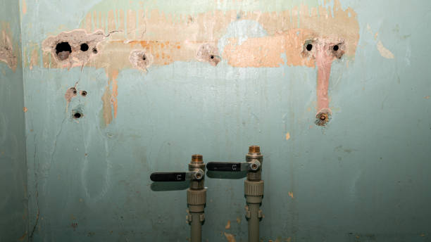 Sewage cleanup and water damage restoration in FL
