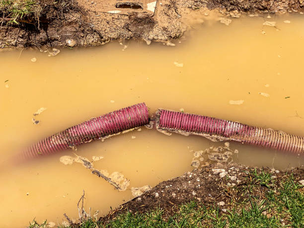 Best Professional water damage repair  in Lake Clarke Shores, FL
