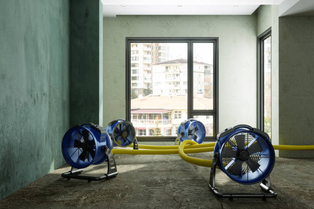 Best Local water damage restoration  in Lake Clarke Shores, FL